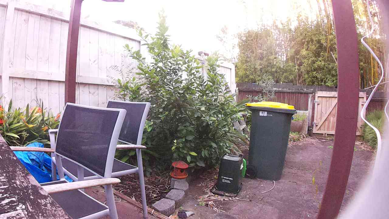Ham_field1_20250917_065712.jpg