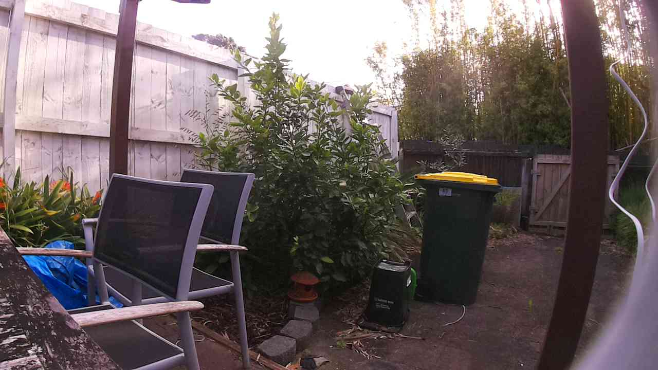 Ham_field1_20250917_080732.jpg