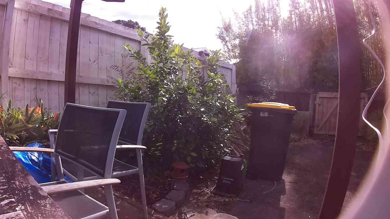 Ham_field1_20250917_091757.jpg