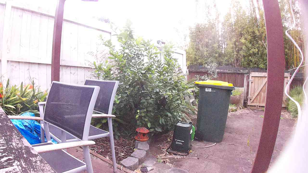 Ham_field1_20250918_073345.jpg