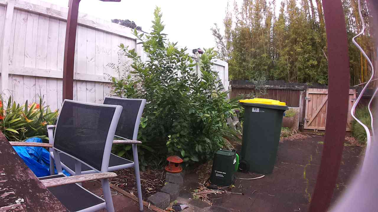 Ham_field1_20250918_121528.jpg