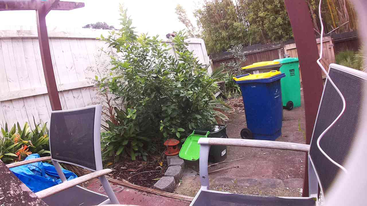 Live Weather Image